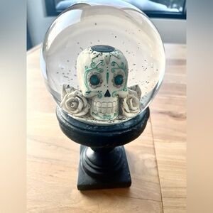 Decorative Skull Snow Globe